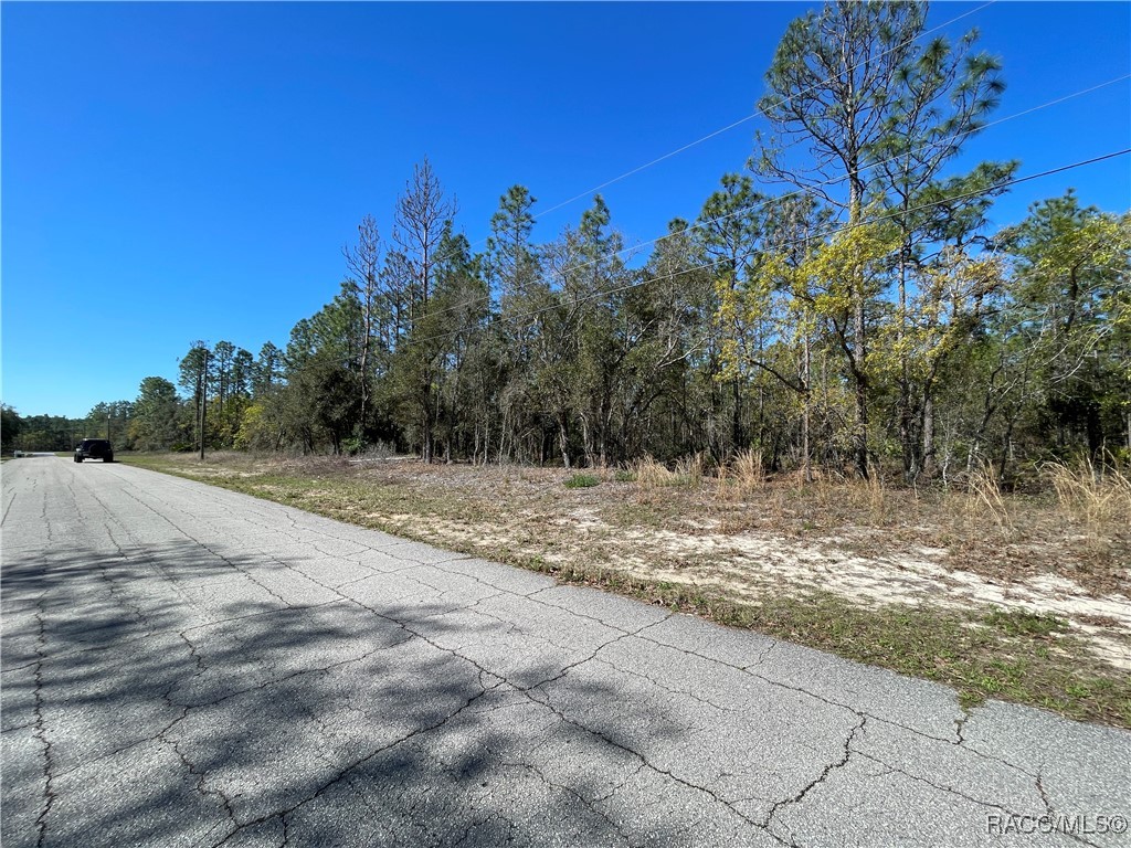 4972 N Redcloud Drive, Beverly Hills, Florida image 9