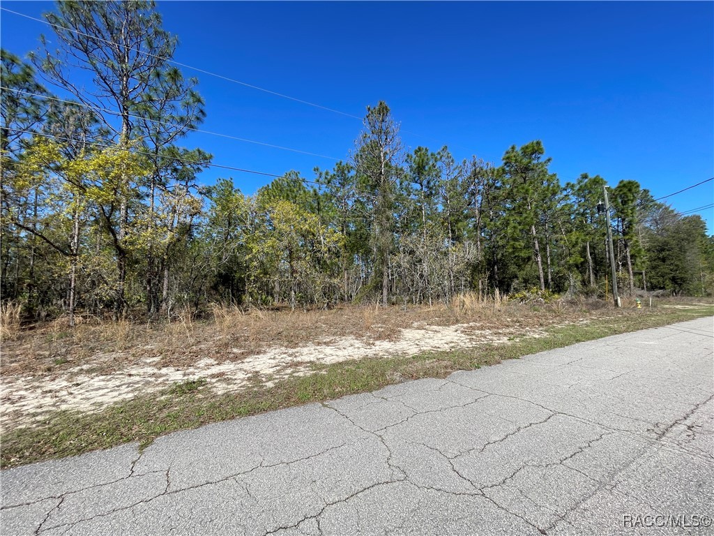 4972 N Redcloud Drive, Beverly Hills, Florida image 5