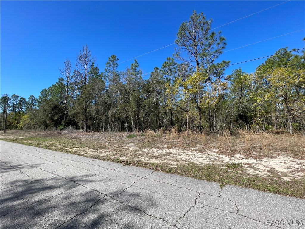 4972 N Redcloud Drive, Beverly Hills, Florida image 7