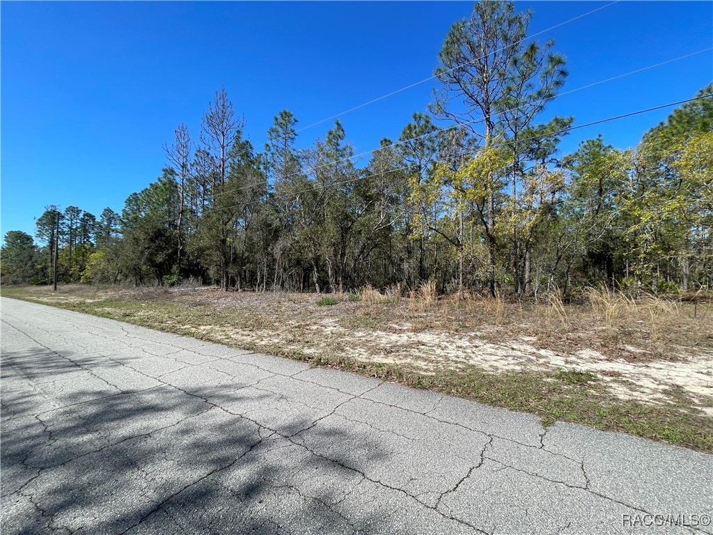 4972 N Redcloud Drive, Beverly Hills, Florida image 10