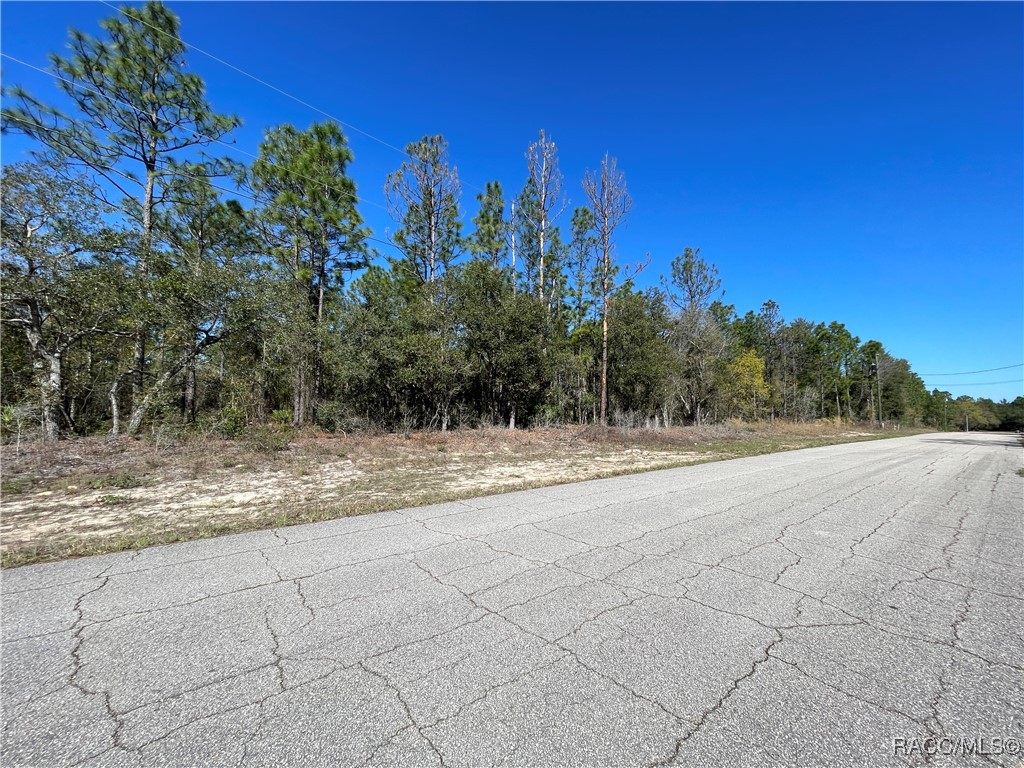 4972 N Redcloud Drive, Beverly Hills, Florida image 3
