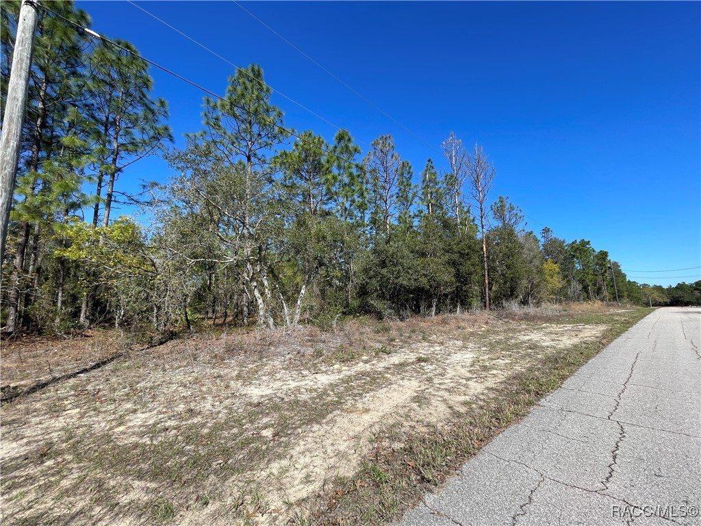 4972 N Redcloud Drive, Beverly Hills, Florida image 2