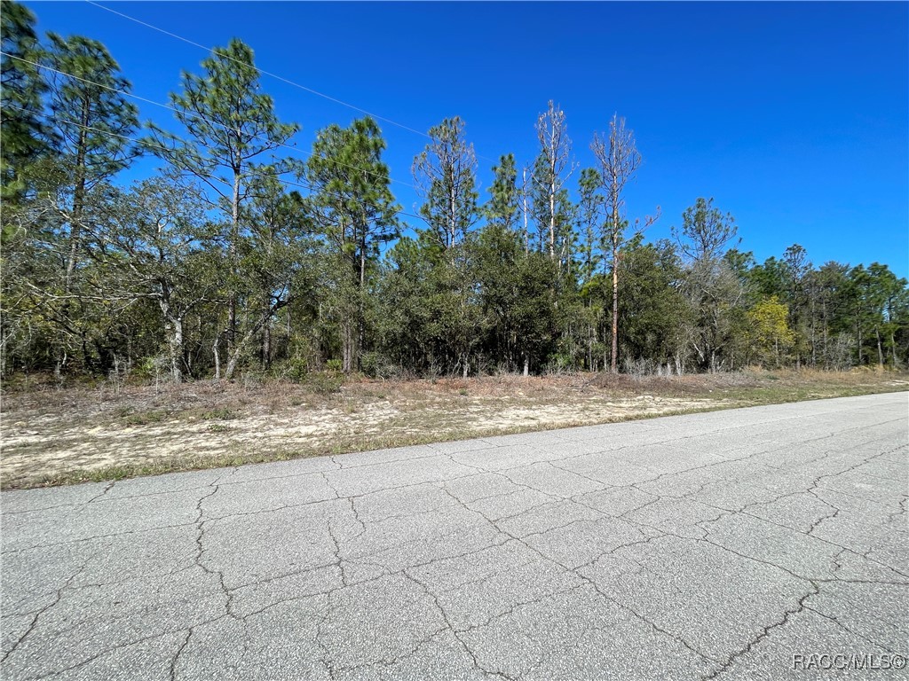 4972 N Redcloud Drive, Beverly Hills, Florida image 1