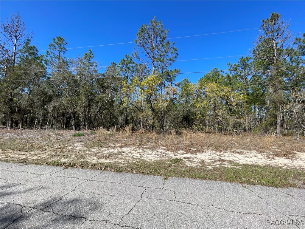 4972 N Redcloud Drive, Beverly Hills, Florida image 6