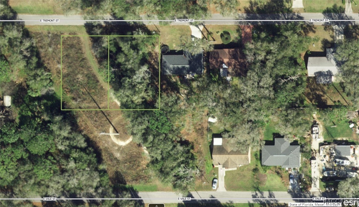 6006 & 5990 E Tremont Street, Inverness, Florida image 1