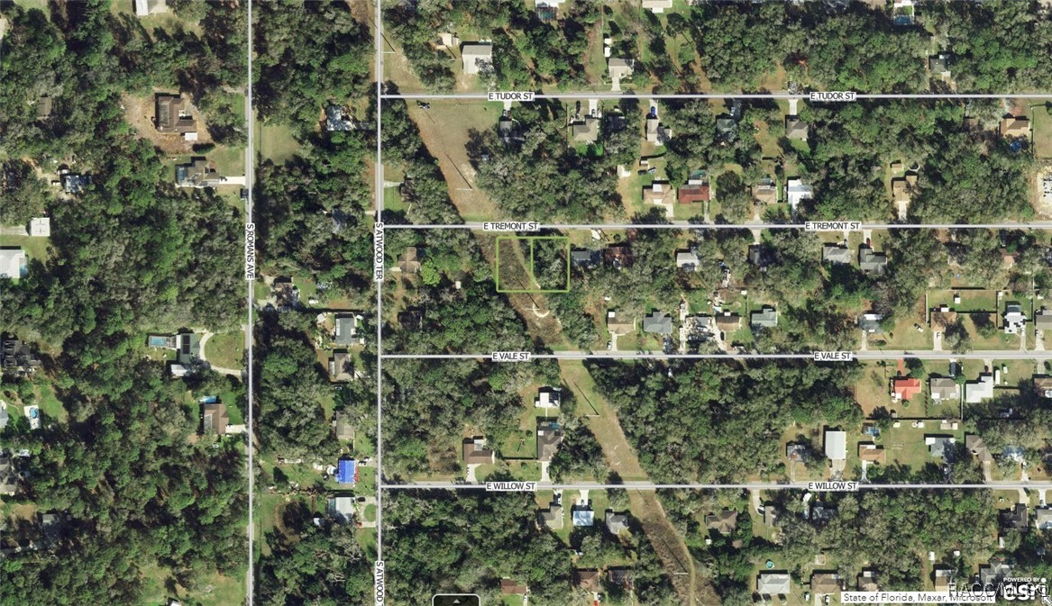 6006 & 5990 E Tremont Street, Inverness, Florida image 2