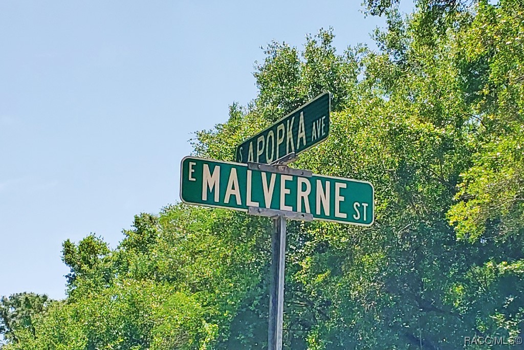 6301 E Malverne Street, Inverness, Florida image 6