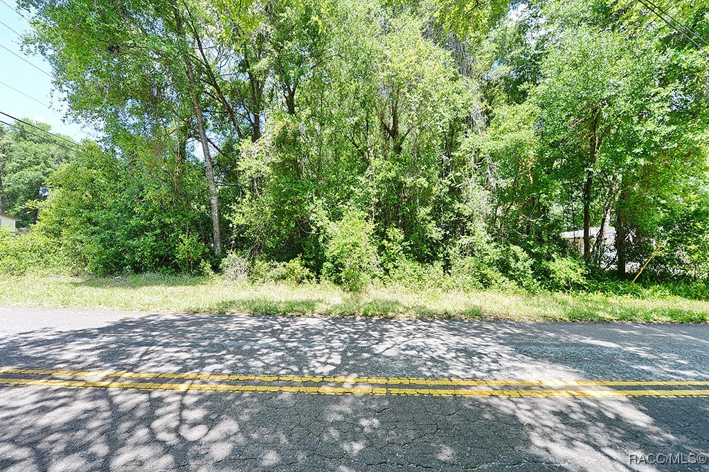 6301 E Malverne Street, Inverness, Florida image 2