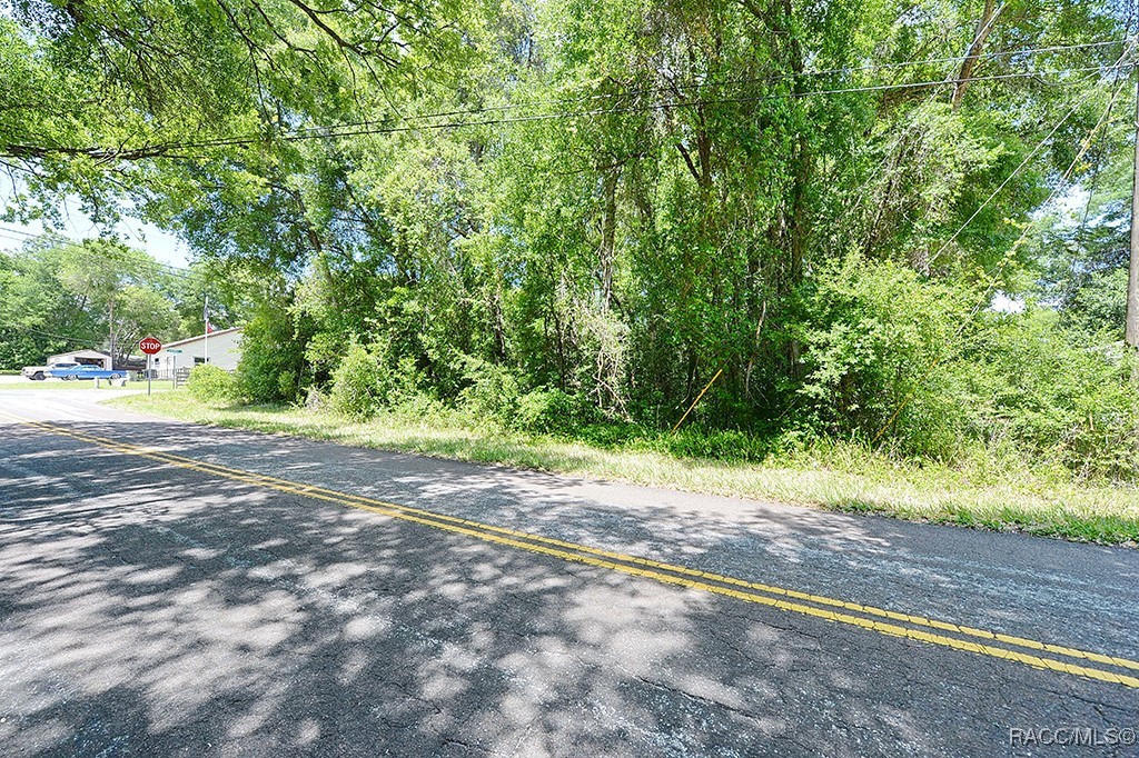 6301 E Malverne Street, Inverness, Florida image 5