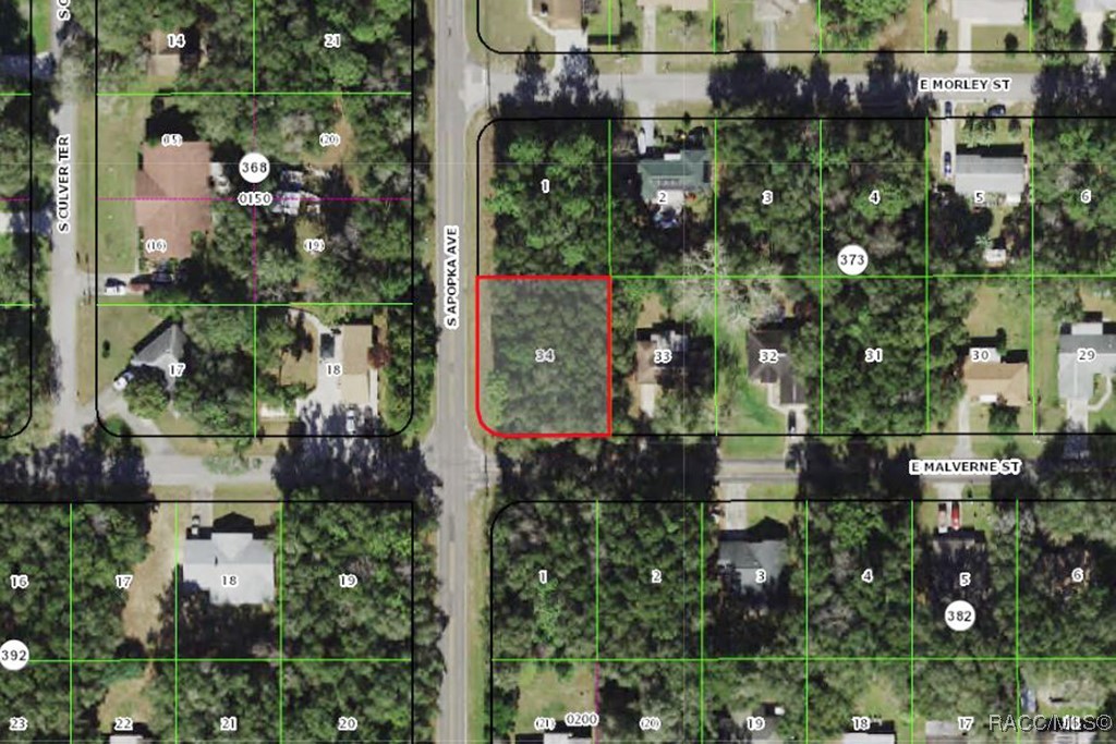 6301 E Malverne Street, Inverness, Florida image 7