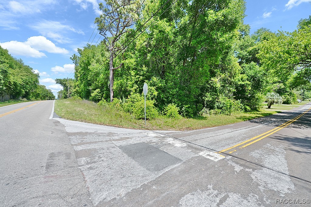 6301 E Malverne Street, Inverness, Florida image 1