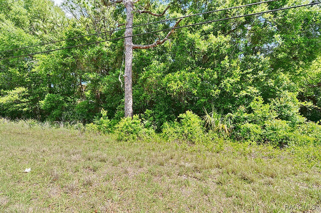 6301 E Malverne Street, Inverness, Florida image 4