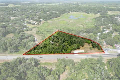 5666 S Florida Avenue Floral City FL 34436
