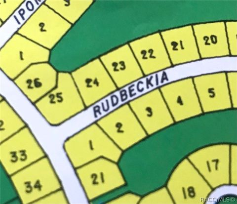 Vacant Land For Sale - 1 Rudbeckia Court<br/> Homosassa, FL 34446