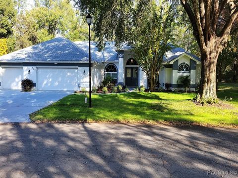 A home in Homosassa