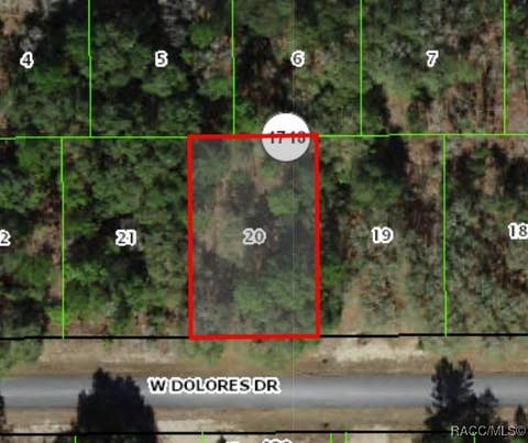 Vacant Land For Sale - 1439 W Dolores Drive<br/> Citrus Springs, FL 34434