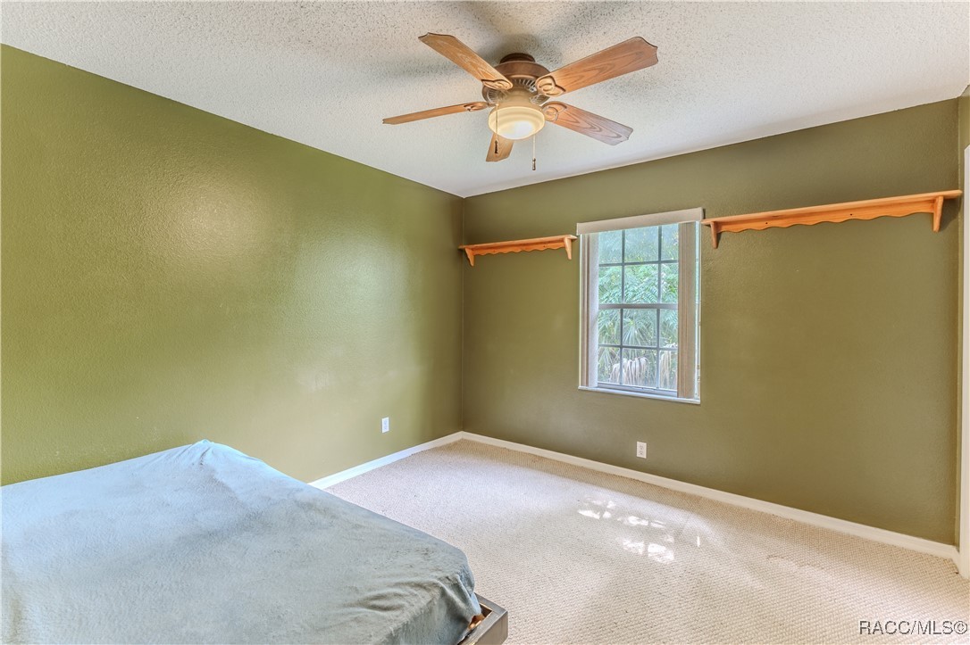 12424 Penton Street, Spring Hill, Florida image 31