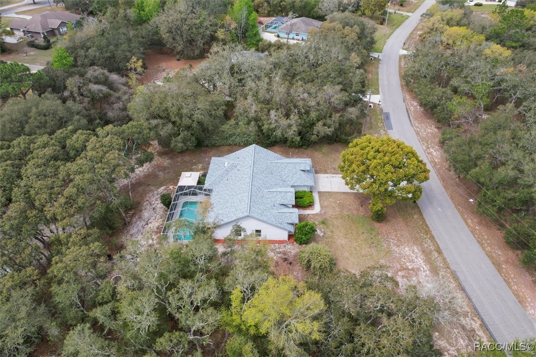 3356 W Blossom Drive, Beverly Hills, Florida image 44