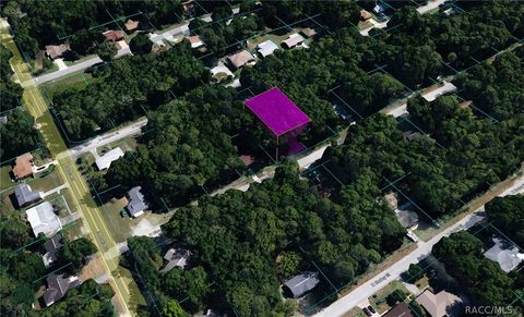 Vacant Land For Sale - 6375 E Glover Street<br/> Inverness, FL 34452