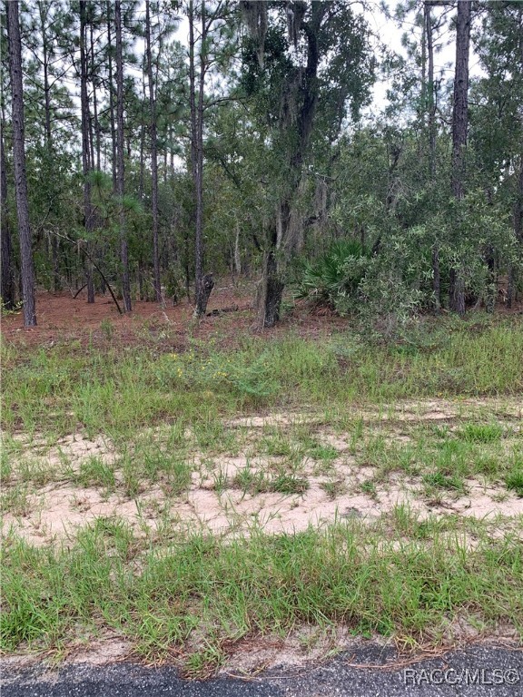 2796 W Xenox Drive, Citrus Springs, Florida image 1