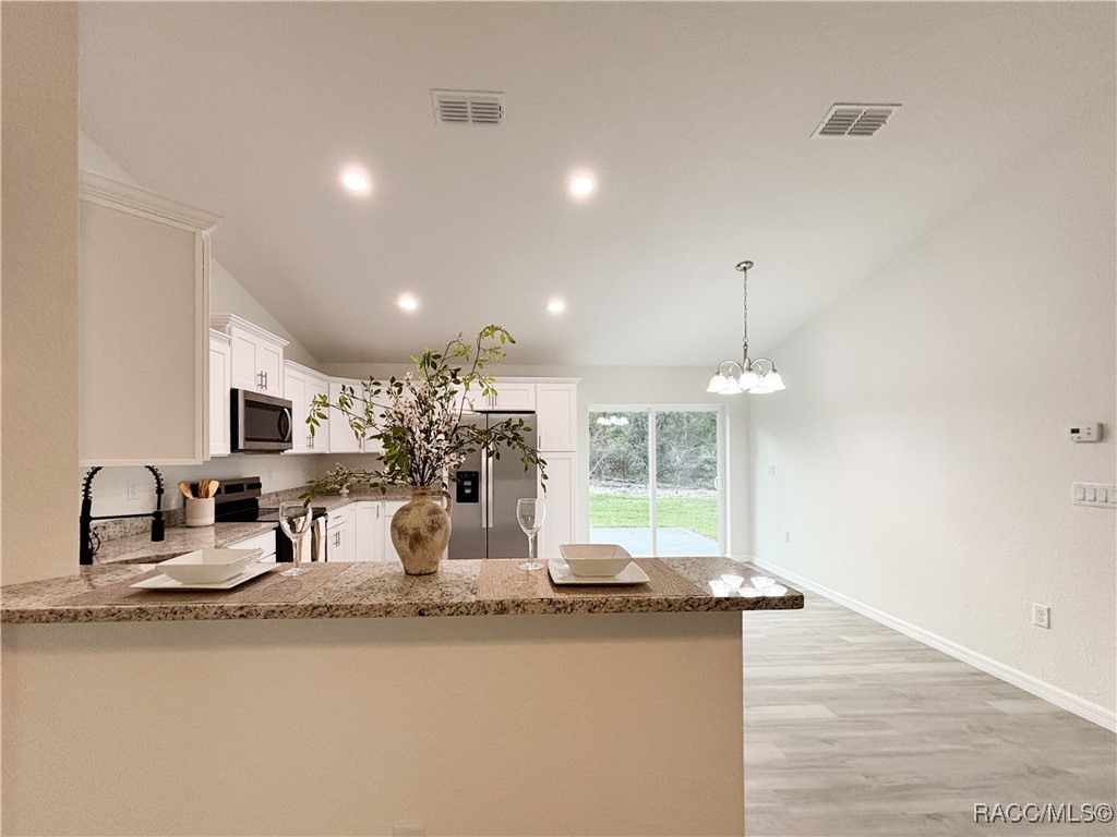 2535 SW Admiral Landing Drive, Dunnellon, Florida image 7