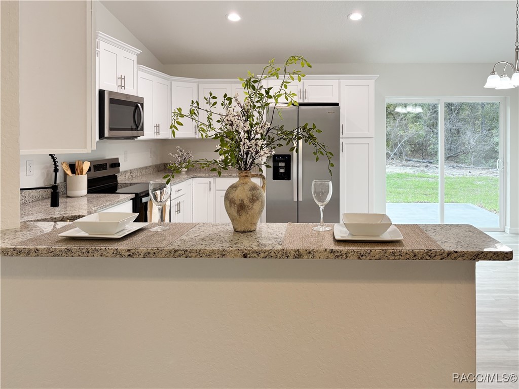 2535 SW Admiral Landing Drive, Dunnellon, Florida image 6