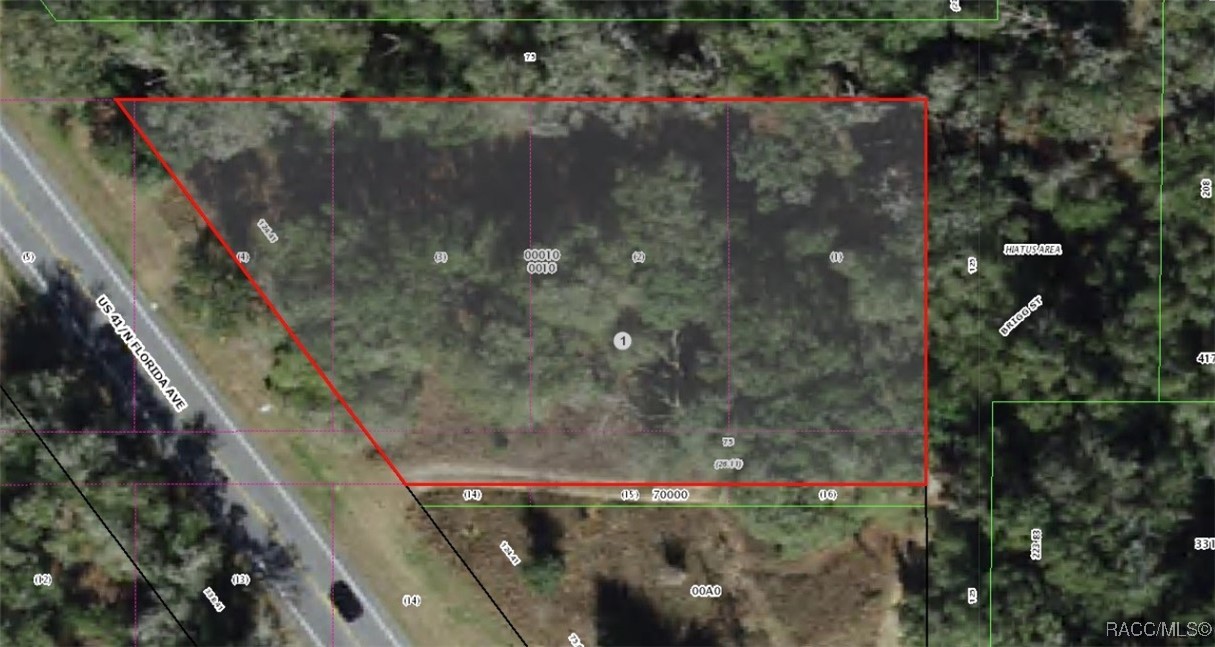 994 E Keighley Lane, Holder, Florida image 2
