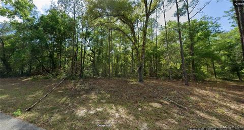 Vacant Land For Sale - 11286 N Schult Terrace<br/> Citrus Springs, FL 34434