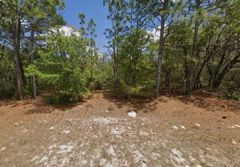 2441 N Sheriff Drive