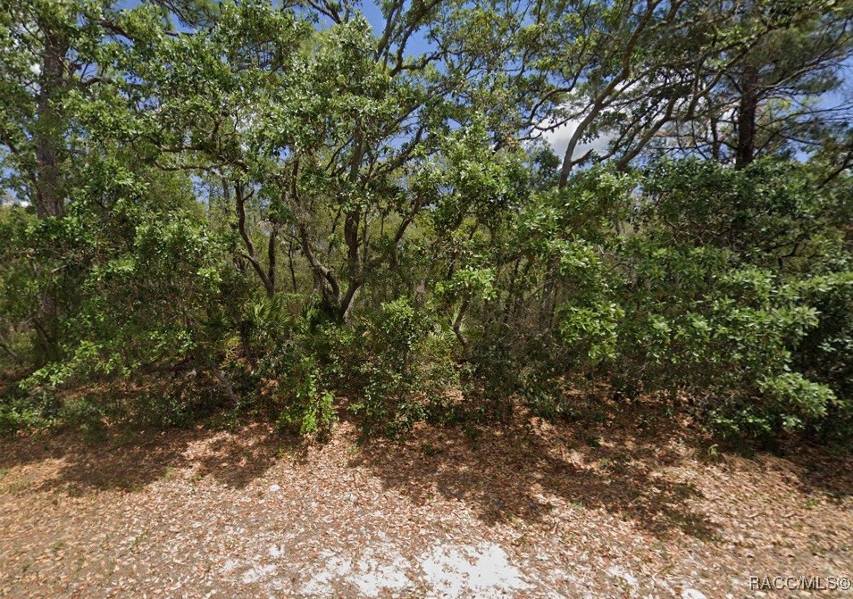 2441 N Sheriff Drive