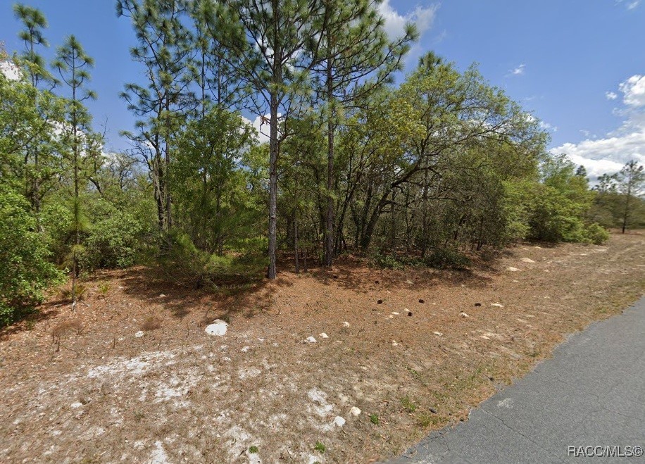 2441 N Sheriff Drive