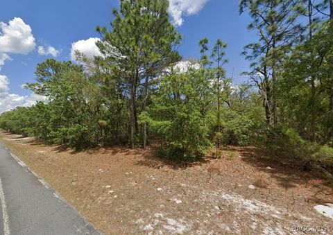 2441 N Sheriff Drive Beverly Hills FL 34465