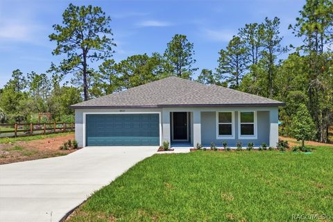 Homes For Sale - 9822 N Angela Drive<br/> Dunnellon, FL 34433
