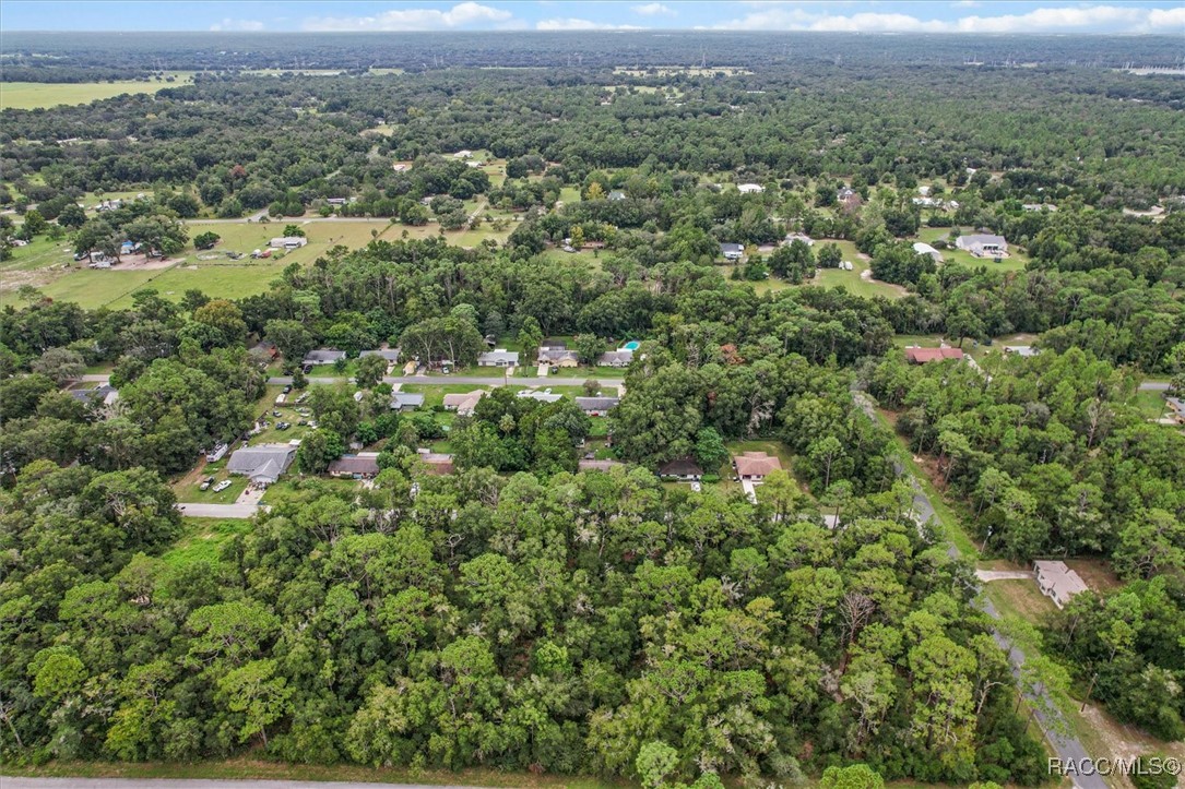 9780 W Tennessee Lane, Crystal River, Florida image 7