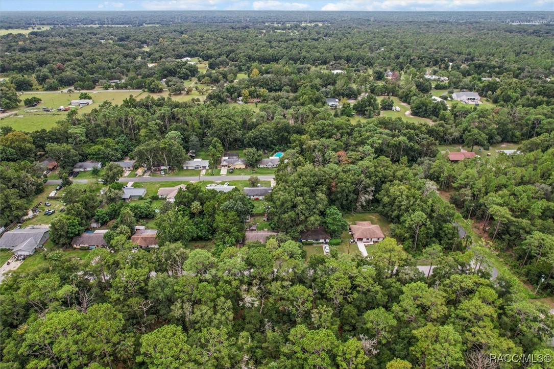 9780 W Tennessee Lane, Crystal River, Florida image 11