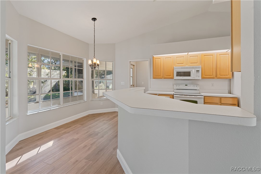 448 Nassau Boulevard, Williston Park, New York image 7