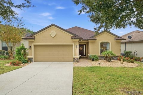 1578 W Sola Vista Path Lecanto FL 34461