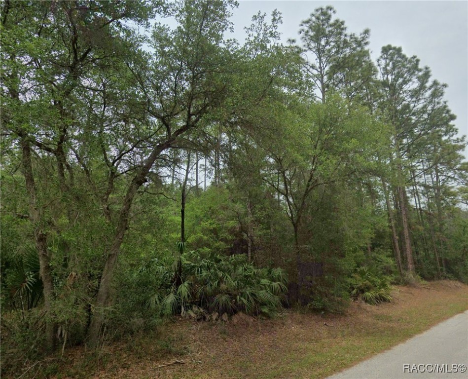 7951 W Tolle Lane, Dunnellon, Florida image 2