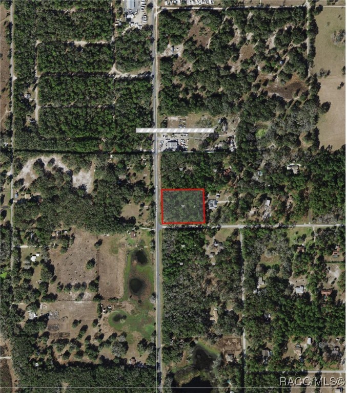 7951 W Tolle Lane, Dunnellon, Florida image 3