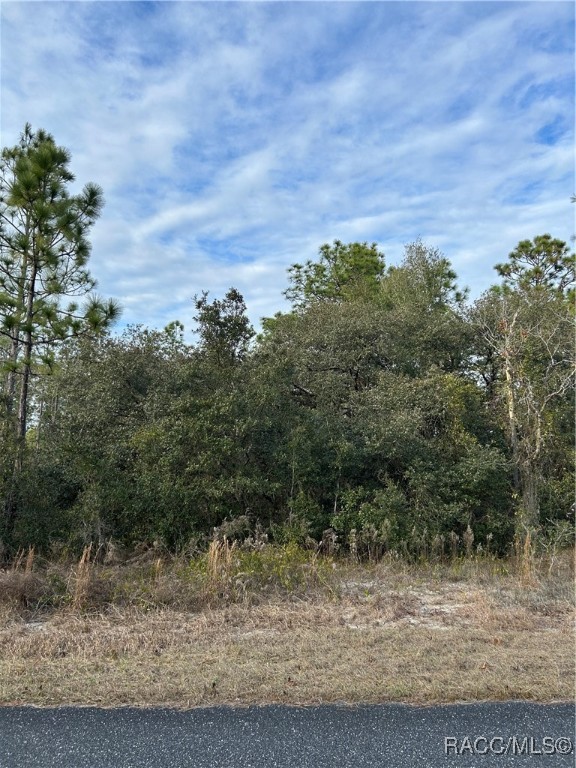 TBD Sw Huckleberry Lane, Dunnellon, Florida image 1