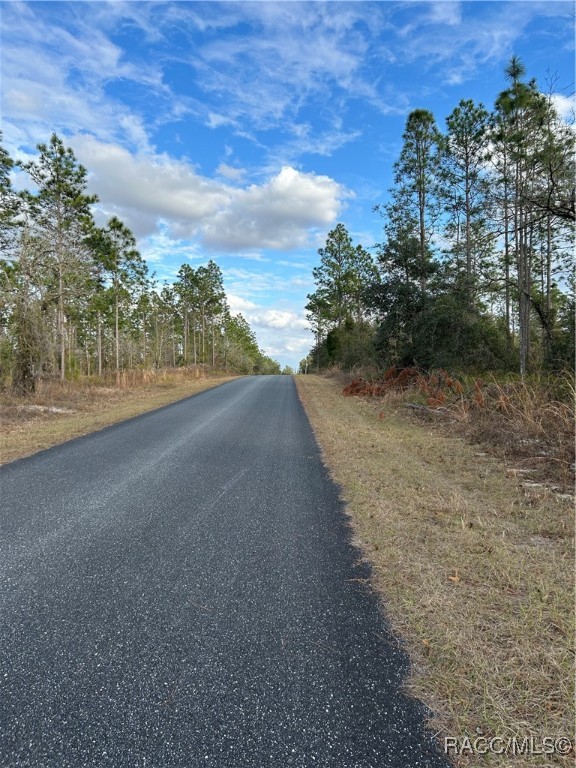 TBD Sw Huckleberry Lane, Dunnellon, Florida image 3