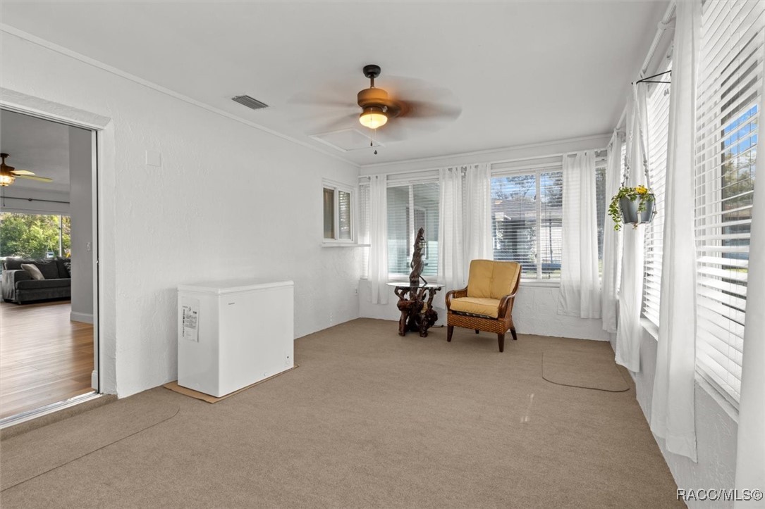 219 Daffodil Street, Inverness, Florida image 15