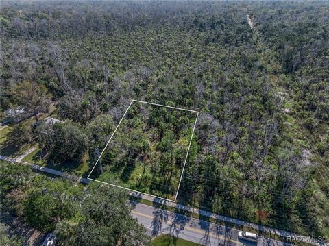 Homes For Sale - 10206 W Yulee Drive<br/> Homosassa, FL 34448
