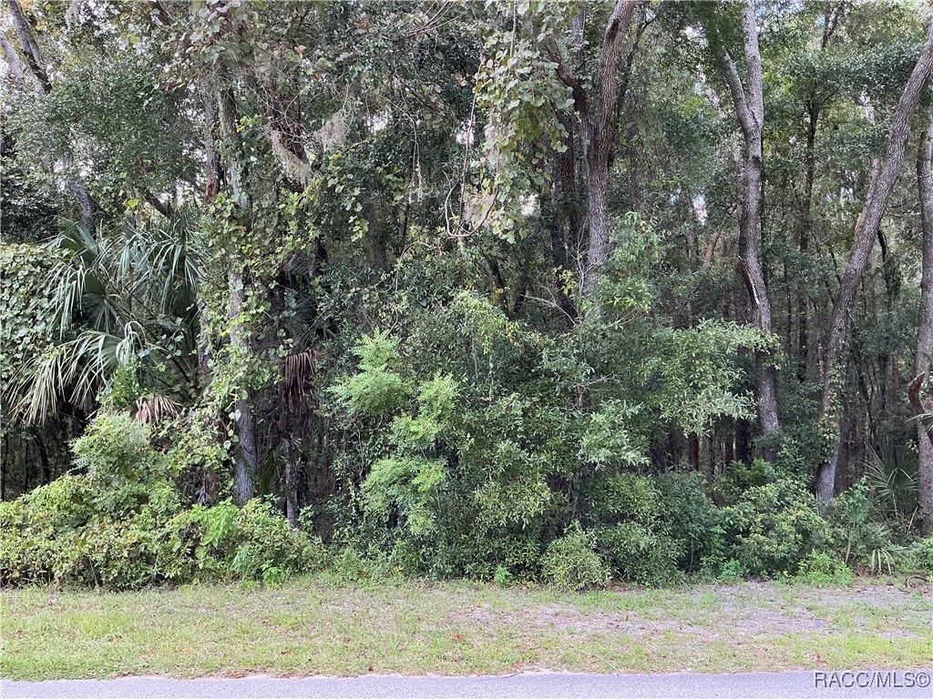 58 N Bauer Road, Lecanto, Florida image 1