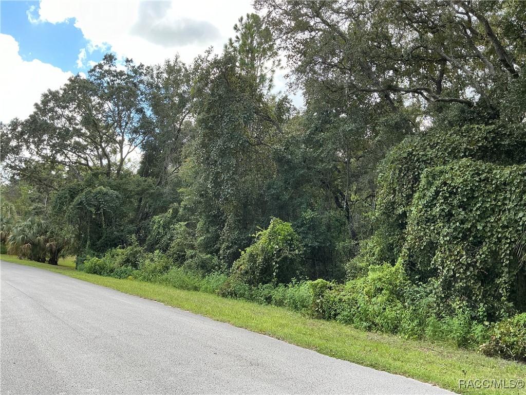 58 N Bauer Road, Lecanto, Florida image 2