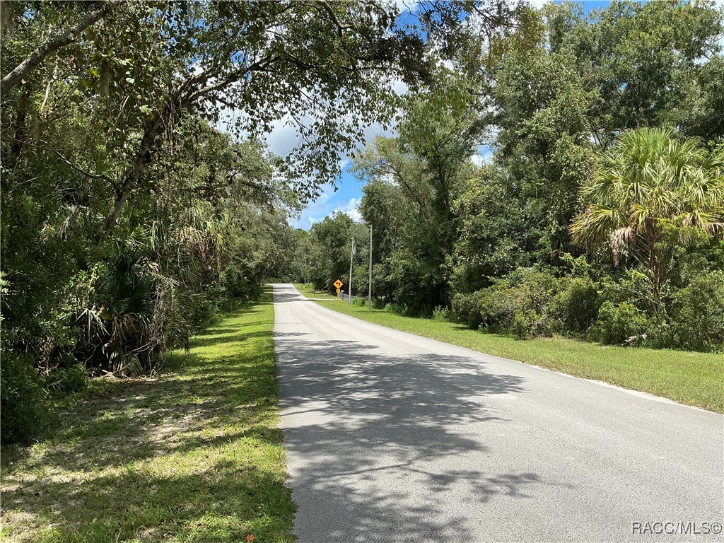 58 N Bauer Road, Lecanto, Florida image 4