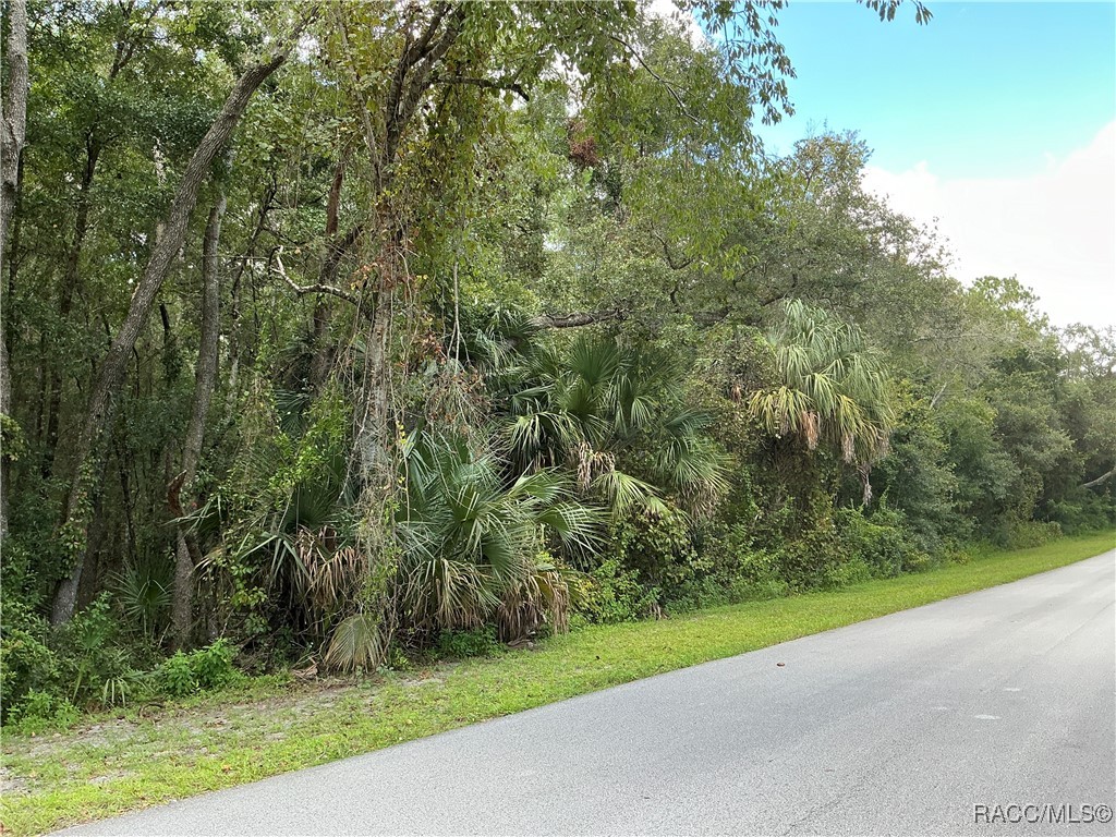 58 N Bauer Road, Lecanto, Florida image 3
