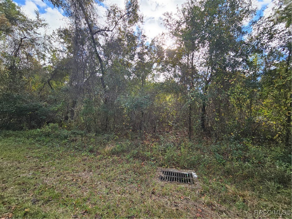 893 E Abend Drive, Citrus Springs, Florida image 8