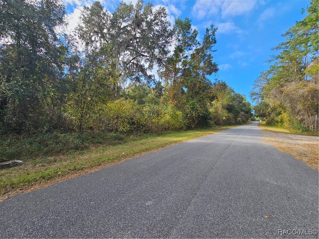 893 E Abend Drive, Citrus Springs, Florida image 9