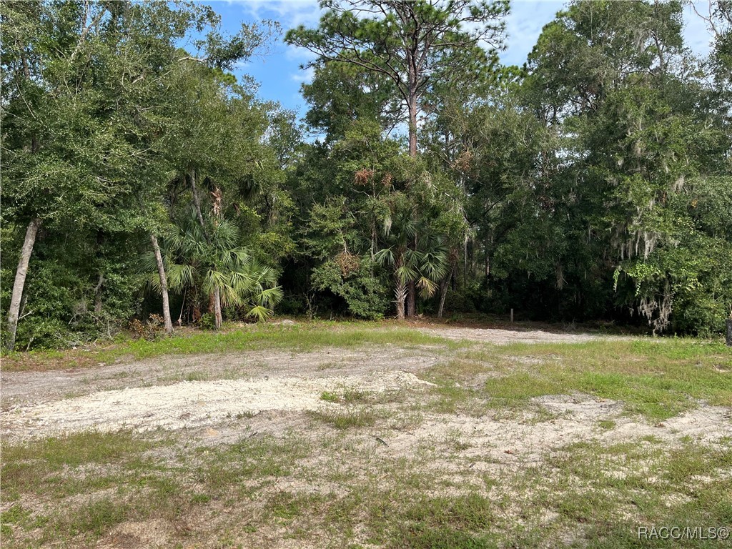 3555 N Turkey Oak Drive, Crystal River, Florida image 9